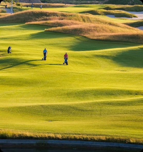 The National Venue Brussels