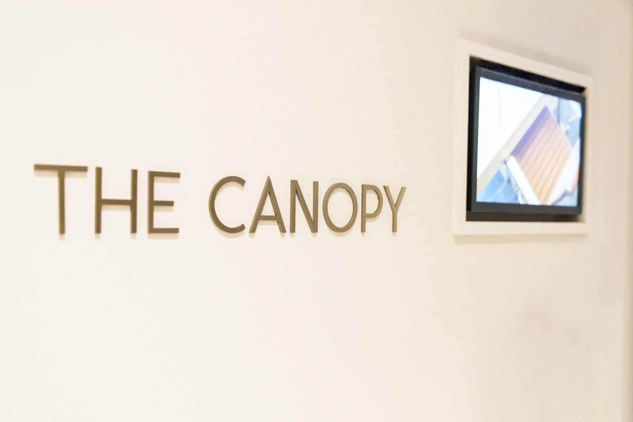 the_canopy_radisson