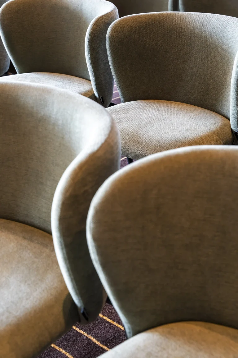 the_serpentine_radisson