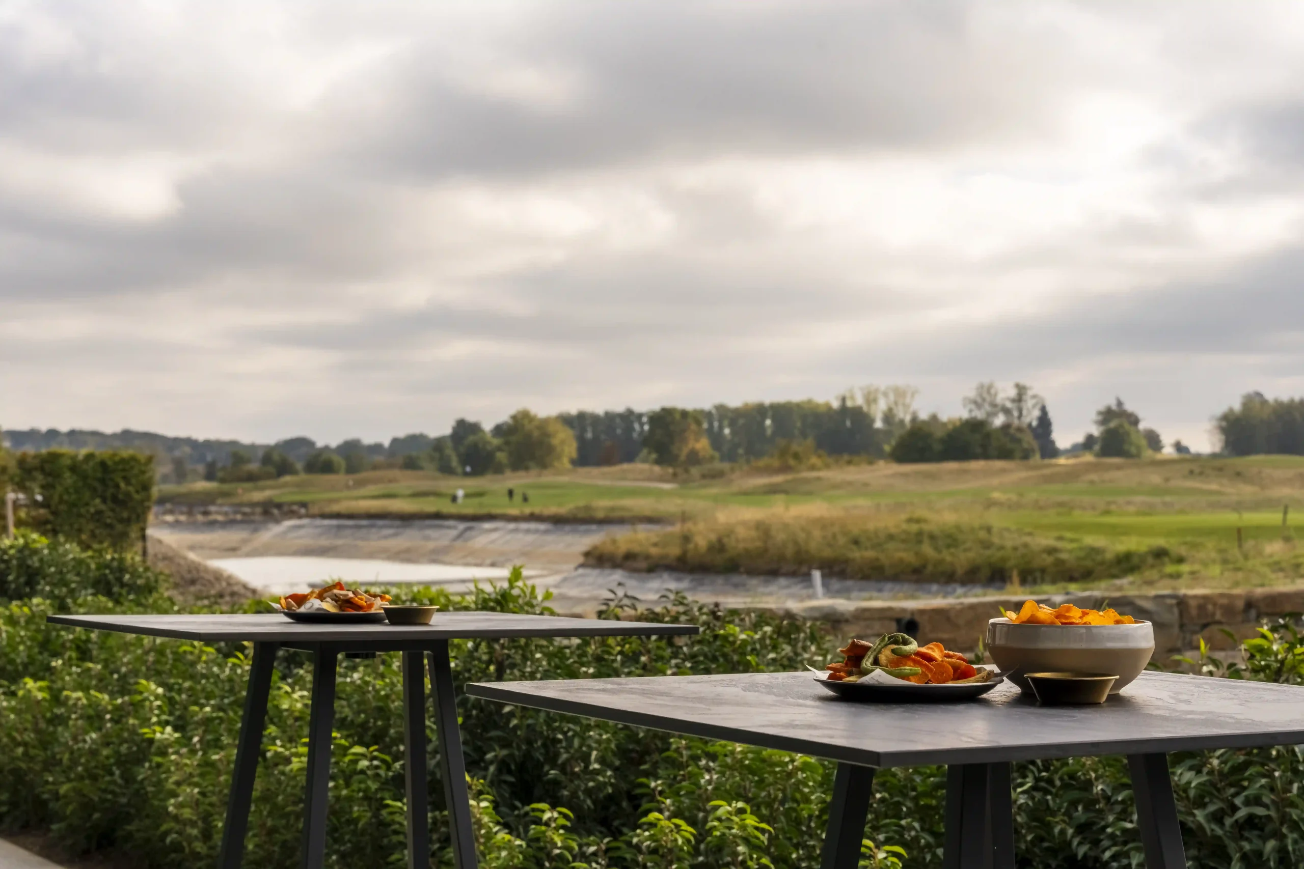 the_serpentine_radisson