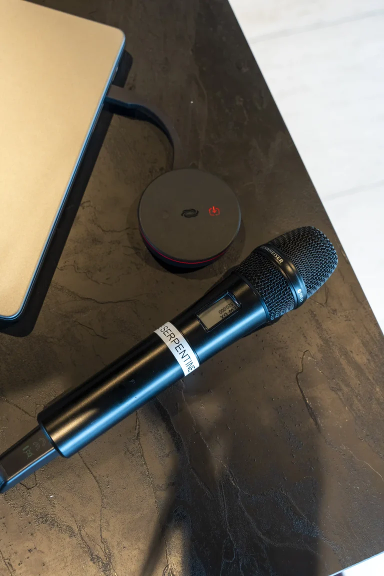 the_serpentine_radisson