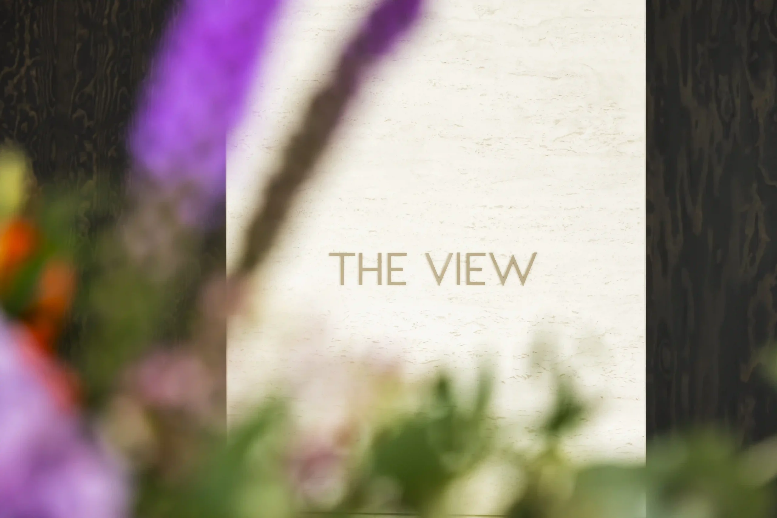 the_view_radisson